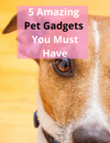 5 Amazing Dog Gadget Your Pet Should Definitely Deserves