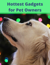 5 Amazing Gifts For Your Pet