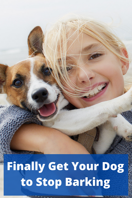 Finally Get Your Dog to Stop Barking