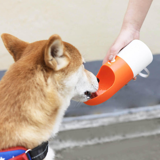 Pet Portable Water Bottle