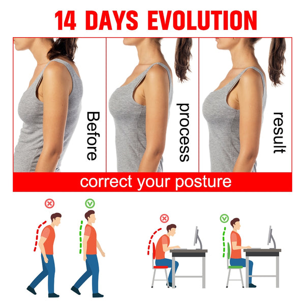 Posture Correction Belt