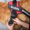 Personalize Pet Harness