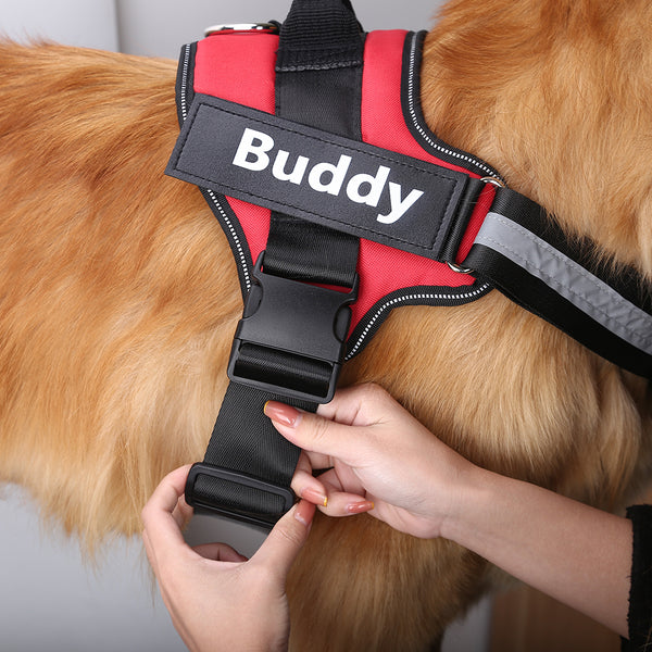 Personalize Pet Harness