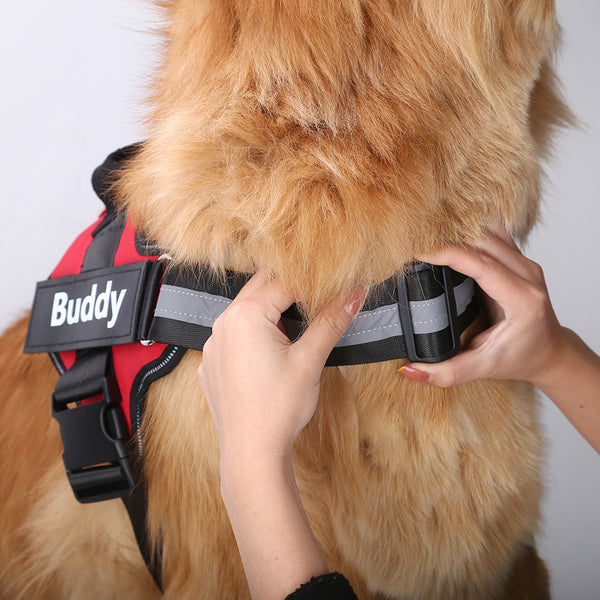 Personalize Pet Harness