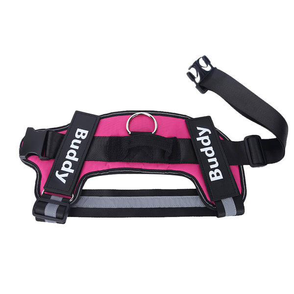 Personalize Pet Harness