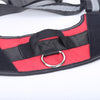 Personalize Pet Harness