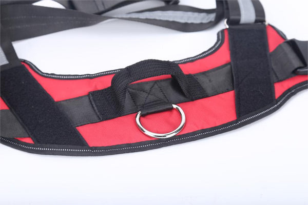 Personalize Pet Harness