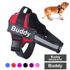 Personalize Pet Harness