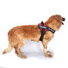 Personalize Pet Harness