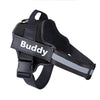 Personalize Pet Harness